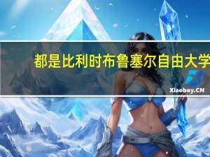 都是比利时布鲁塞尔自由大学，我选ULB还是VUB