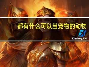 都有什么可以当宠物的动物