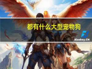 都有什么大型宠物狗