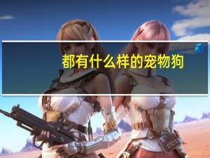 都有什么样的宠物狗