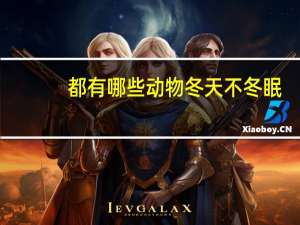 都有哪些动物冬天不冬眠