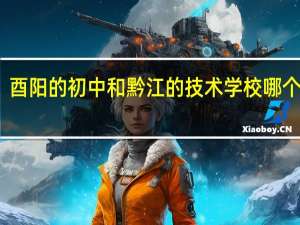 酉阳的初中和黔江的技术学校哪个好点