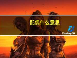 配偶什么意思
