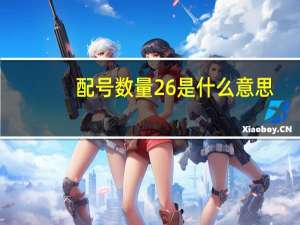 配号数量26是什么意思（配号数量2是什么意思）