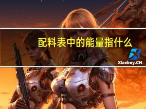 配料表中的能量指什么