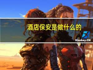 酒店保安是做什么的