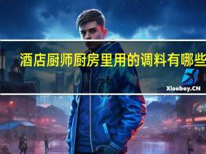 酒店厨师厨房里用的调料有哪些吖，越详细越好