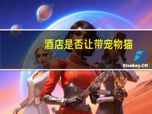 酒店是否让带宠物猫