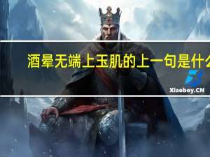 酒晕无端上玉肌的上一句是什么