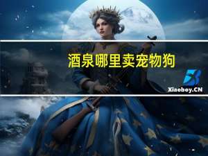 酒泉哪里卖宠物狗