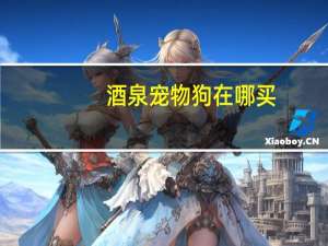 酒泉宠物狗在哪买