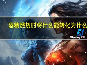 酒精燃烧时将什么能转化为什么能