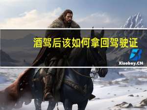 酒驾后该如何拿回驾驶证