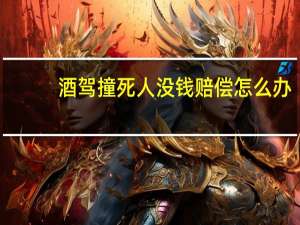 酒驾撞死人没钱赔偿怎么办