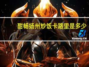 酣畅 扬州炒饭卡路里是多少