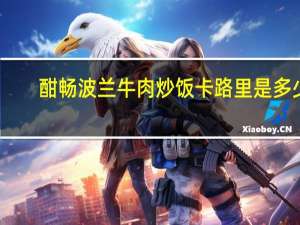 酣畅 波兰牛肉炒饭卡路里是多少