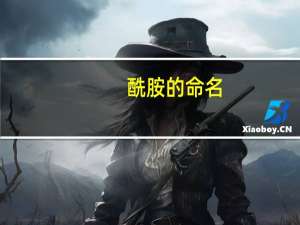 酰胺的命名