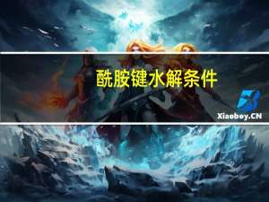 酰胺键水解条件