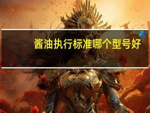 酱油执行标准哪个型号好