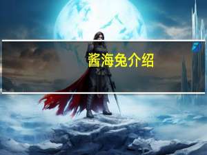 酱海兔介绍