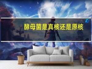 酵母菌是真核还是原核