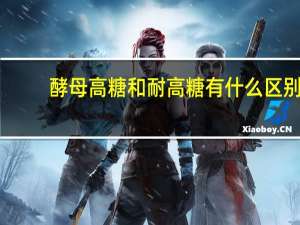 酵母高糖和耐高糖有什么区别