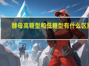 酵母高糖型和低糖型有什么区别