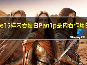 酵母Eps15样内吞蛋白Pan1p是内吞作用的关键参与者