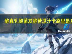 酵真 乳酸菌发酵苦瓜汁卡路里是多少