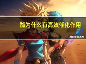 酶为什么有高效催化作用