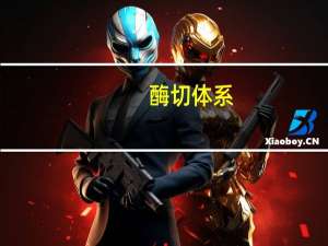 酶切体系（酶切）