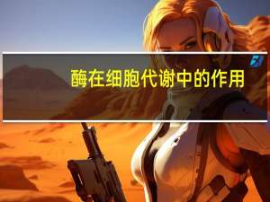 酶在细胞代谢中的作用