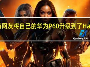 酷安有网友将自己的华为P60升级到了HarmonyOS4