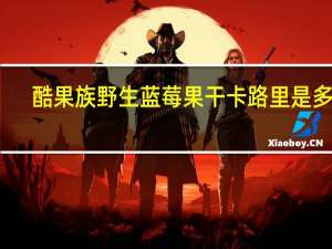 酷果族 野生蓝莓果干卡路里是多少