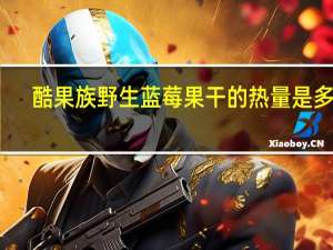 酷果族 野生蓝莓果干的热量是多少