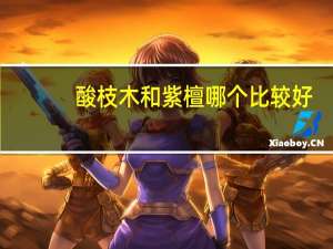 酸枝木和紫檀哪个比较好