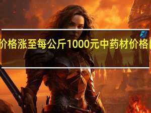 酸枣仁价格涨至每公斤1000元 中药材价格出现整体上涨