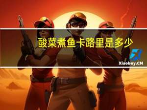 酸菜煮鱼卡路里是多少