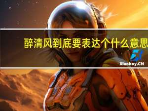 醉清风到底要表达个什么意思