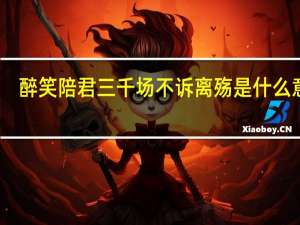 醉笑陪君三千场不诉离殇是什么意思