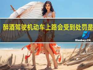 醉酒驾驶机动车上路会受到处罚是什么