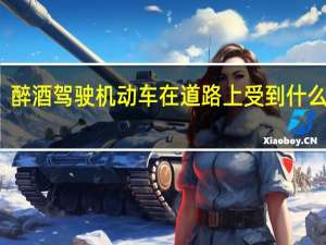 醉酒驾驶机动车在道路上受到什么处罚