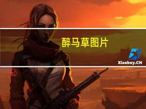 醉马草图片（醉马草-禾本科芨芨草属植物简介）