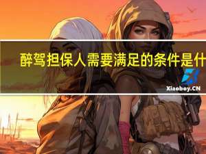 醉驾担保人需要满足的条件是什么