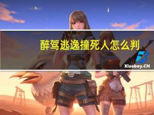 醉驾逃逸撞死人怎么判