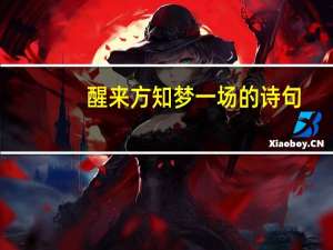 醒来方知梦一场的诗句