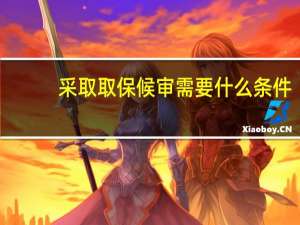 采取取保候审需要什么条件