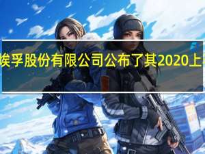 采埃孚股份有限公司公布了其2020上半年财报