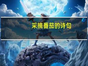 采摘番茄的诗句