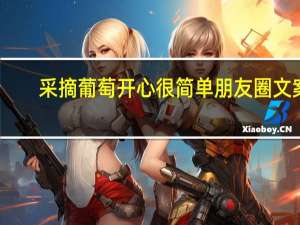 采摘葡萄开心很简单朋友圈文案